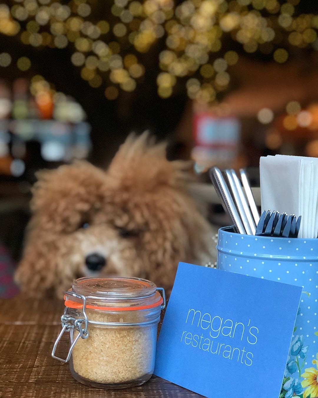 Dog Friendly Restaurants London Megan's Restaurant and Café